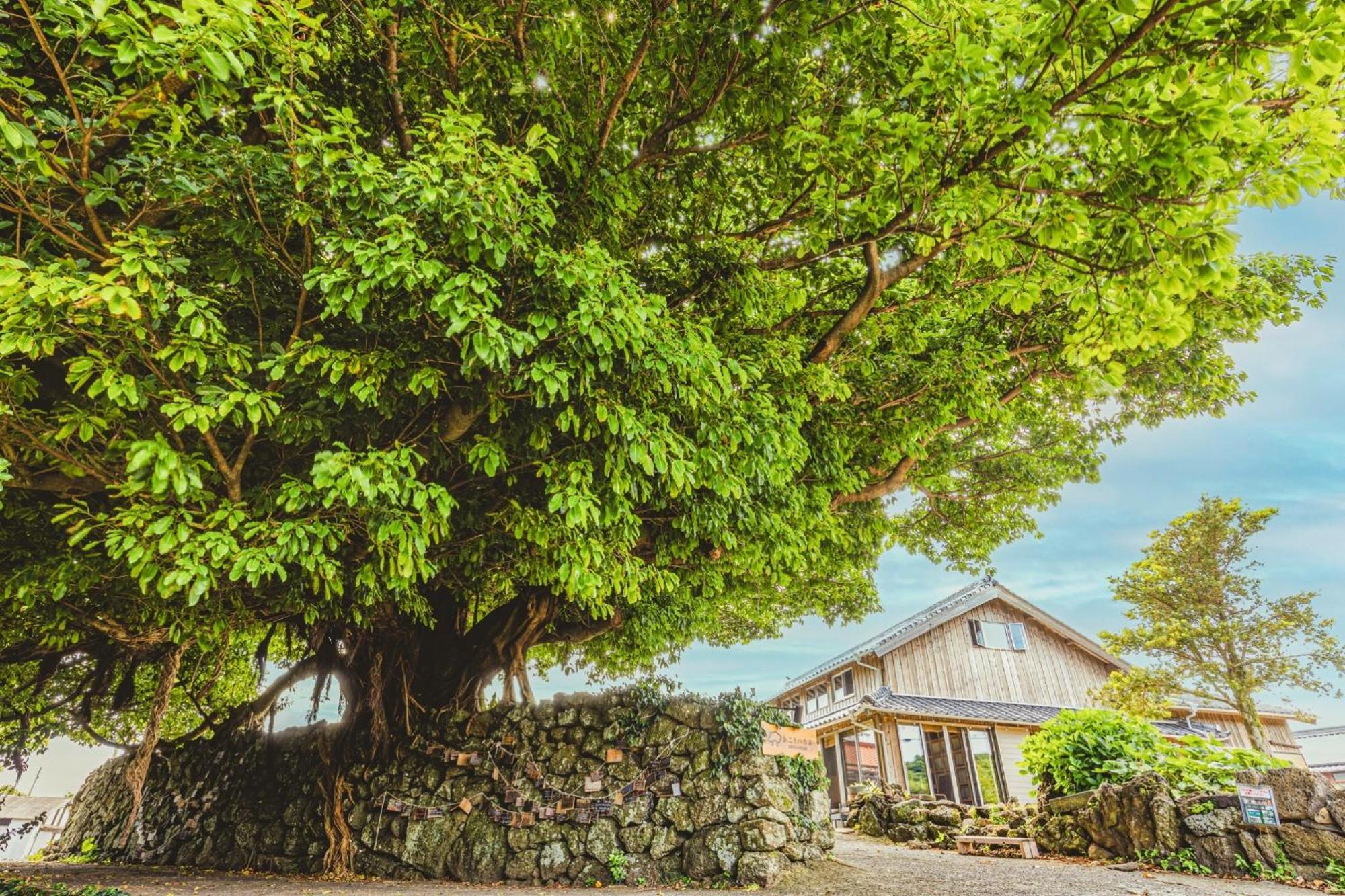 بيت شباب Ako House غوتو المظهر الخارجي الصورة